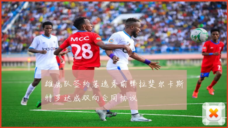 雄鹿队签约落选秀前锋拉斐尔卡斯特罗达成双向合同协议